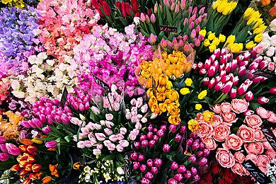 《龙珠：电光火石0》ESRB评级变化 移除血腥标签添加游戏内购